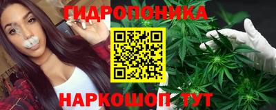 молекула духа Уссурийск