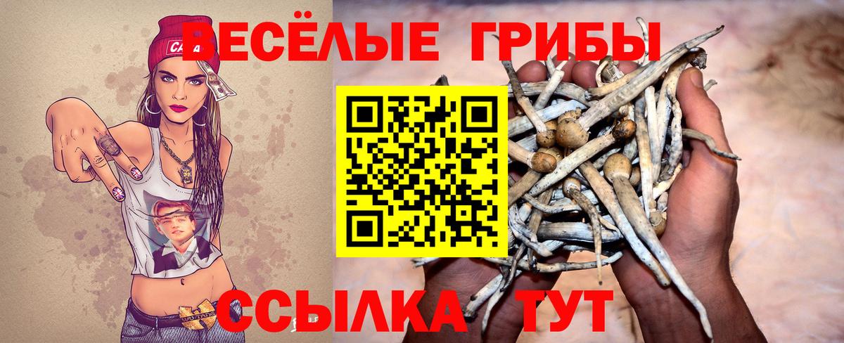 Спасск-Дальний  Галлюциногенные грибы мухоморы  Галлюциногенные грибы MAGIC MUSHROOMS  Вход с VPN 